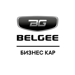 Статистика Дзен Belgee Бизнес Кар