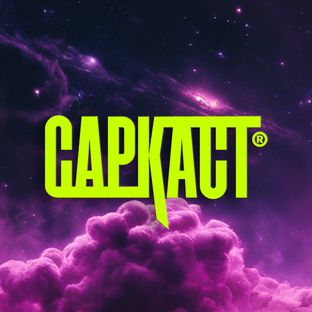 Статистика Дзен Саркаст