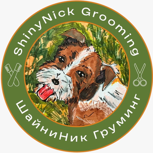 Статистика Дзен ШайниНик Груминг