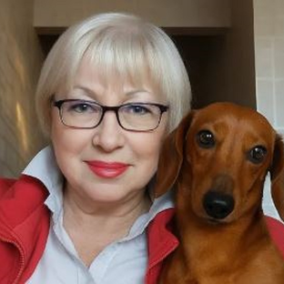 Статистика Дзен Я и рыжий пёс