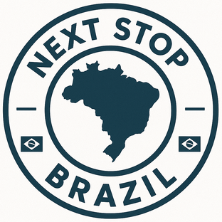 Статистика Дзен Next Stop Brazil