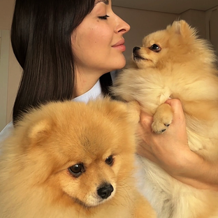 Статистика Дзен Шпицули Каспер и Люся 🐶🐕