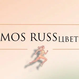 Статистика Дзен MOS RUSSцвет- центр художественной гимнастики в Москве.