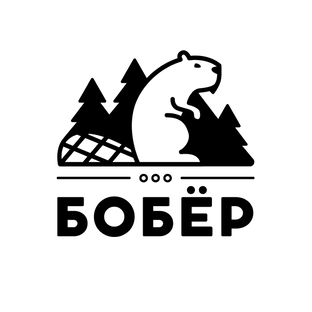 Статистика Дзен Бобёр78