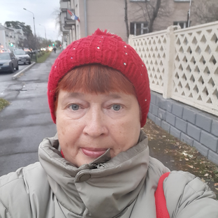 Статистика Дзен Неспешные прогулки немолодой женщины