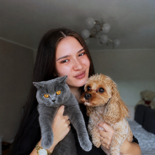 Статистика Дзен Алина,Бэтти и Мэри 🐶🐈‍⬛