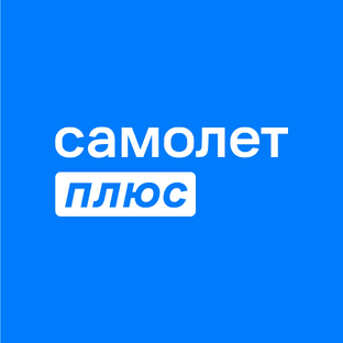 Статистика Дзен Самолет плюс на Пушкина