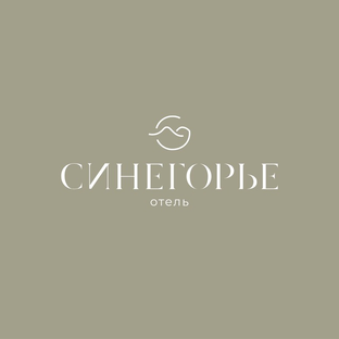 Статистика Дзен Отель Синегорье