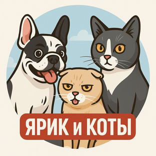 Статистика Дзен ЯРИК и КОТЫ