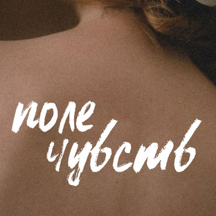 Статистика Дзен Поле чувств 