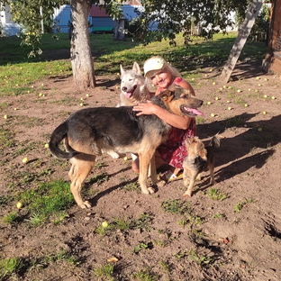 Статистика Дзен .