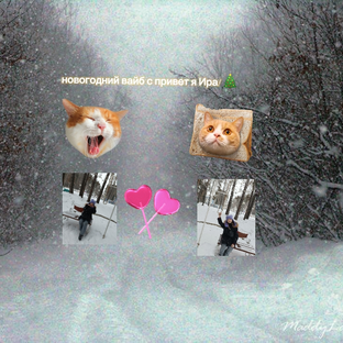 Статистика Дзен IRA krash🎀🎄🎅