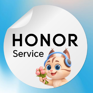Статистика Дзен HONOR Service