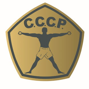 Статистика Дзен Сеть фитнес-клубов С.С.С.Р.