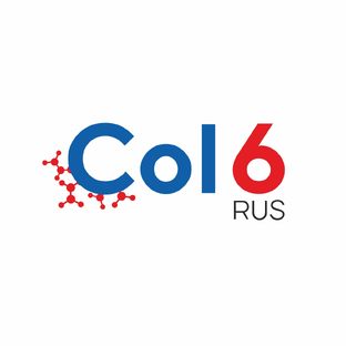 Статистика Дзен Миопатия Ульриха-Бетлема COL-6