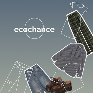 Статистика Дзен ecochance