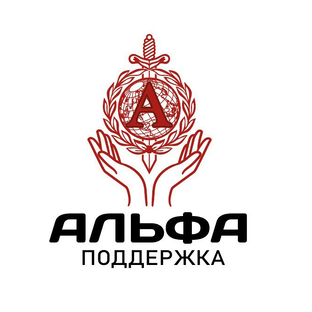 Статистика Дзен Альфа-поддержка