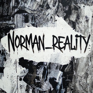 Статистика Дзен Norman_reality