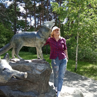 Статистика Дзен 🫶 Lyudmila Tyumen 🌲