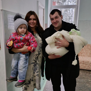 Статистика Дзен Жизнь в домике у леса 🏡