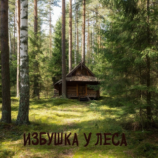 Статистика Дзен Избушка у леса