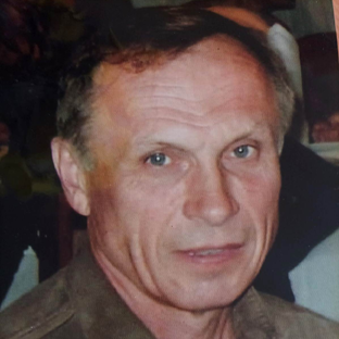 Статистика Дзен Владимир