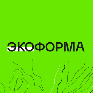 Статистика Дзен Группа компаний "ЭКОФОРМА"