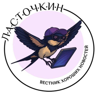 Статистика Дзен ЛАСТОЧКИН | вестник хороших новостей