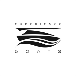 Статистика Дзен Experience boats