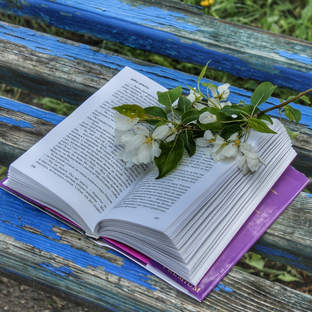 Статистика Дзен Книги - моя реальность