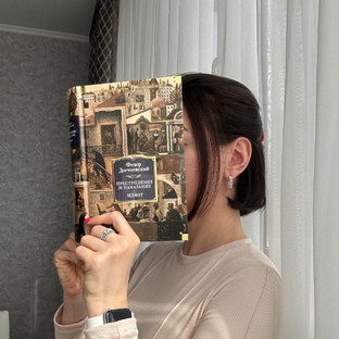 Статистика Дзен Книжный барс