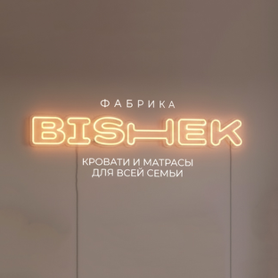 Статистика Дзен BISHEK | Краснодар
