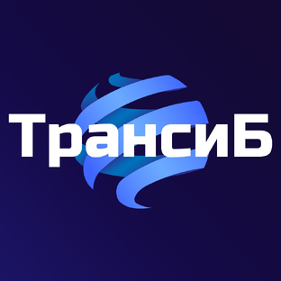 Статистика Дзен ТрансиБ - Таможенный брокер