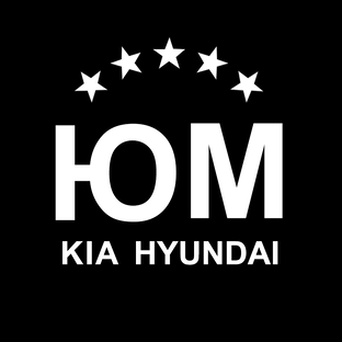 Статистика Дзен ЮНИОН МОТОРС | Сервис Kia, Hyundai, Genesis в Москве