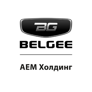 Статистика Дзен BELGEE АЕМ Холдинг