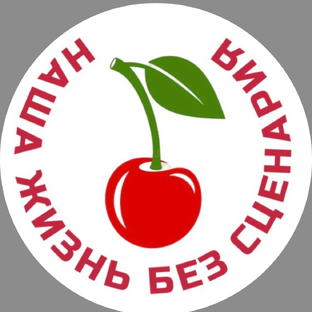 Статистика Дзен Наша жизнь без сценария