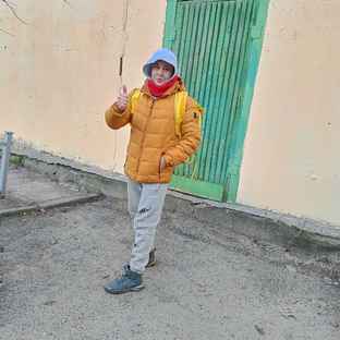 Статистика Дзен Пакетный