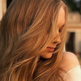 Статистика Дзен FOXMARI DIY
