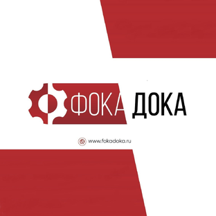 Статистика Дзен ФокаДока