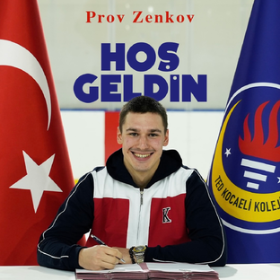 Статистика Дзен Prov Zenkov | Турецкий бизнес 