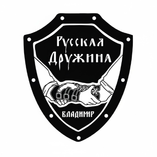 Статистика Дзен Русская Дружина г. Владимир