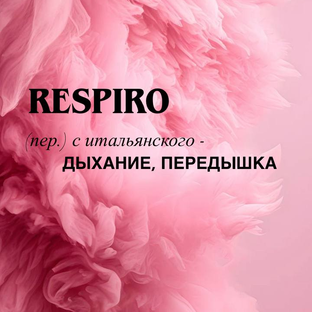 Статистика Дзен Дыхание жизни.