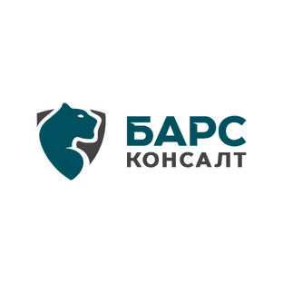 Статистика Дзен Барс Консалт