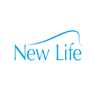 Статистика Дзен New Life