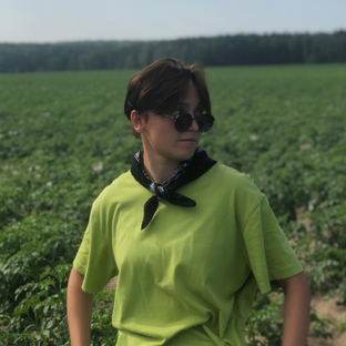 Статистика Дзен От Тимирязевки к полям/Ковязина Майя
