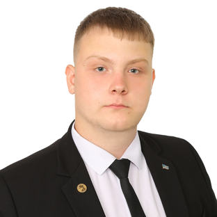 Статистика Дзен Николай Рогов