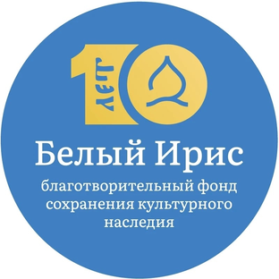 Статистика Дзен Благотворительный фонд "Белый Ирис"