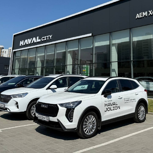 Статистика Дзен HAVAL CITY АЕМ Холдинг