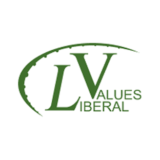 Статистика Дзен Liberal Values