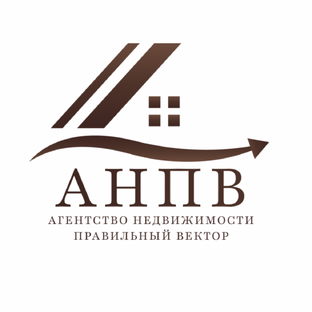 Статистика Дзен Агентство Недвижимости "Правильный Вектор"